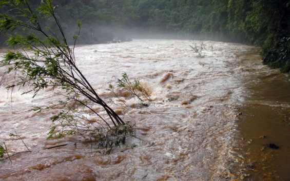 Flood Forecasting and Early Warning System