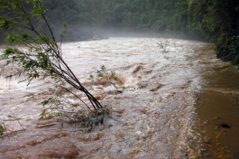 Flood Forecasting and Early Warning System